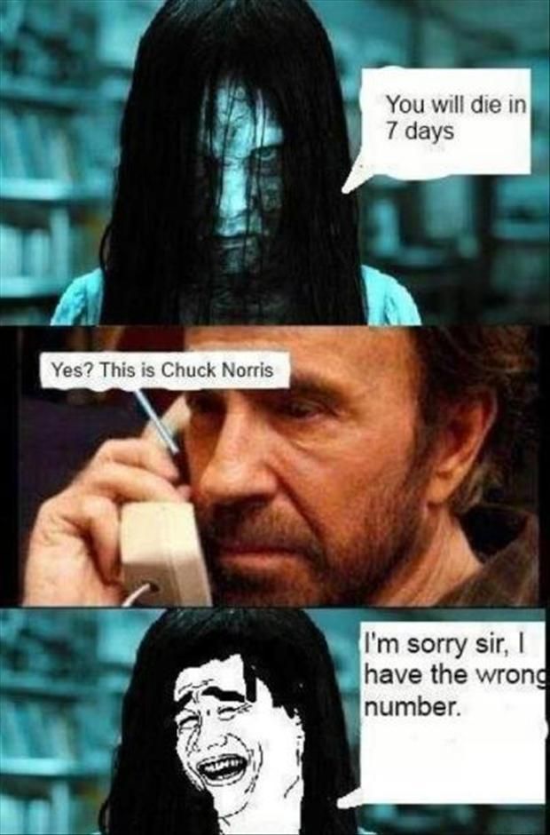 chuck-norris-funny-pictures_zps3cd58e83.