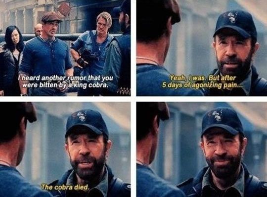funny-Chuck-Norris-Expendables-king-cobr