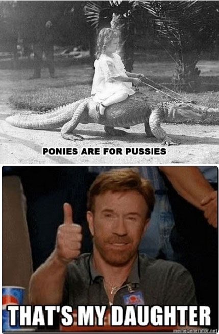 funny-Chuck-Norris-daughter-riding-croco