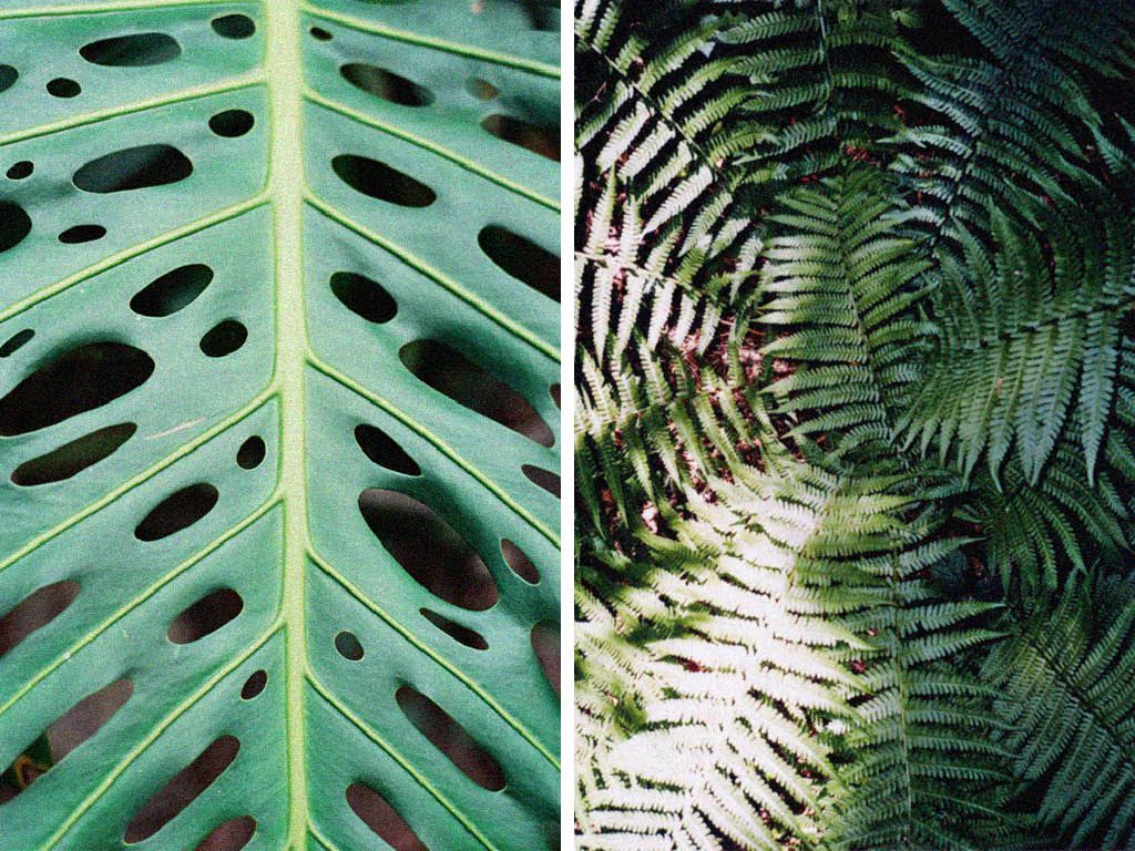sometimes always visual estate flora 1
