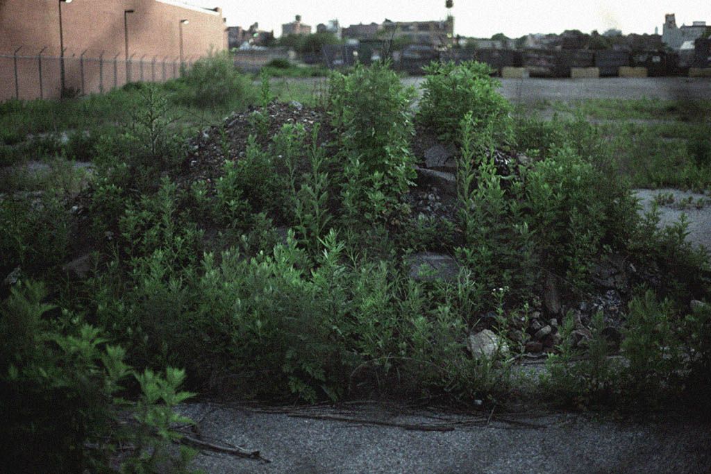 sometimes always visual estate flora 32