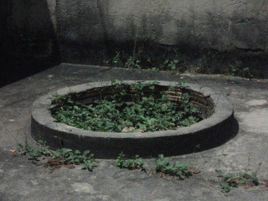 sometimes always visual estate flora 64