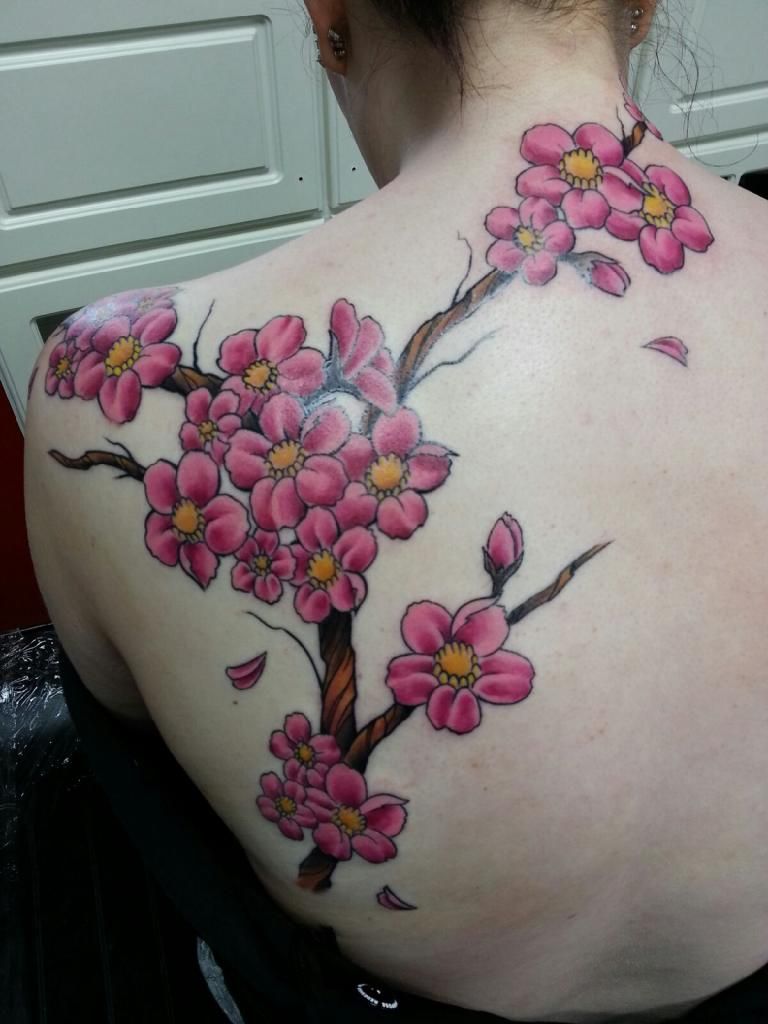 CherryBlossoms.jpeg