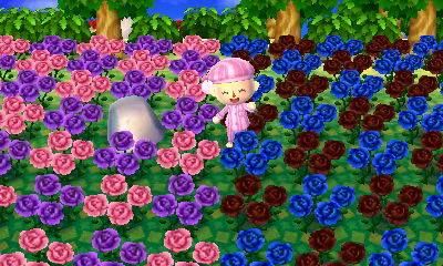 flowers.jpg