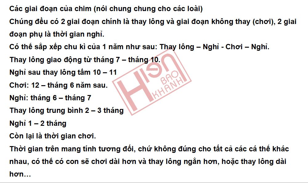 Đại Lý cám chim cảnh Hiển Bảo Khánh - 2