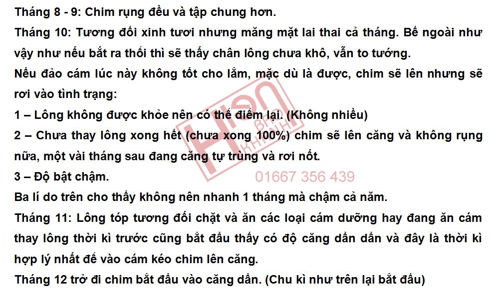 Đại Lý cám chim cảnh Hiển Bảo Khánh - 11