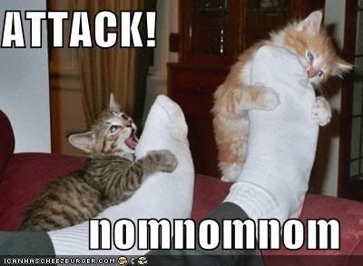 funny-pictures-kittens-attack-feet.jpg