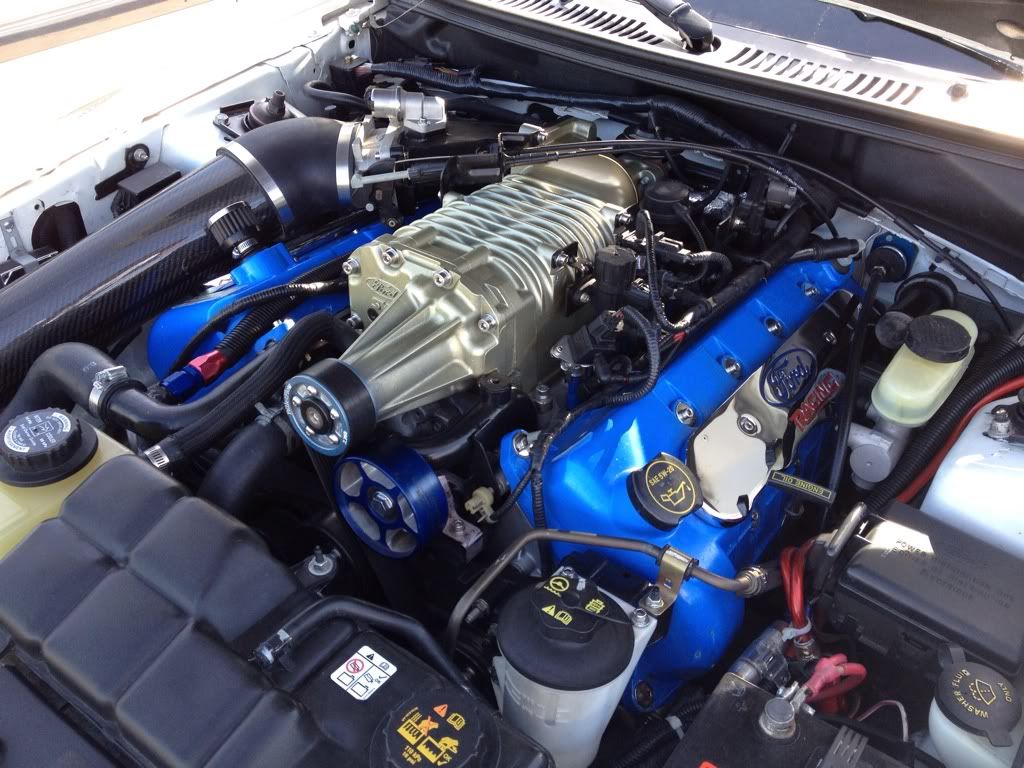 Lets see those clean engine bays - Northern California Ford Owners