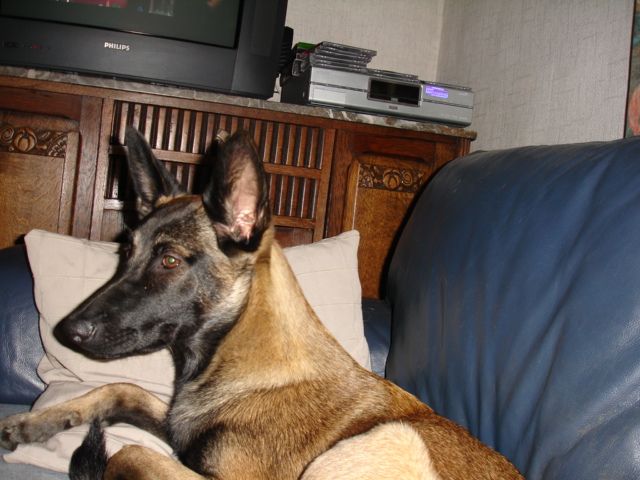 lenka