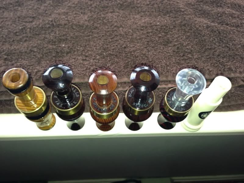 Echo,RNT,Black OpsFS Duck Hunting Forum