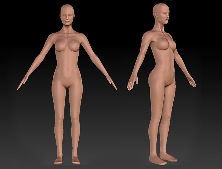 FemaleFigureA2001.jpg