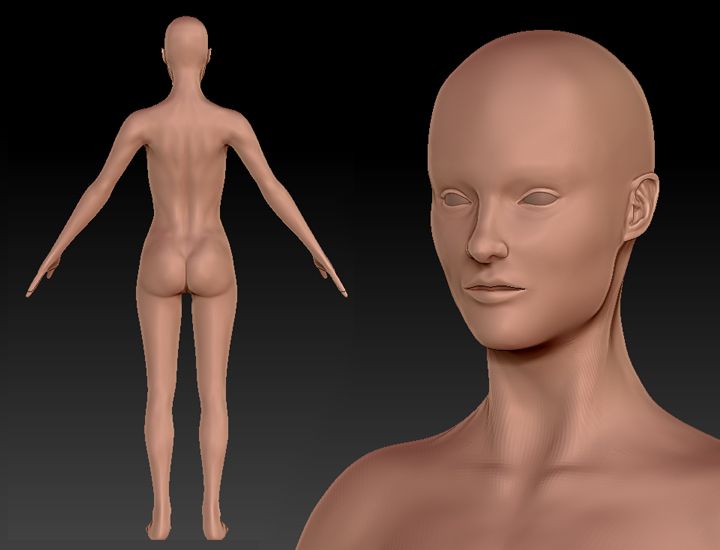 FemaleFigureA2002.jpg