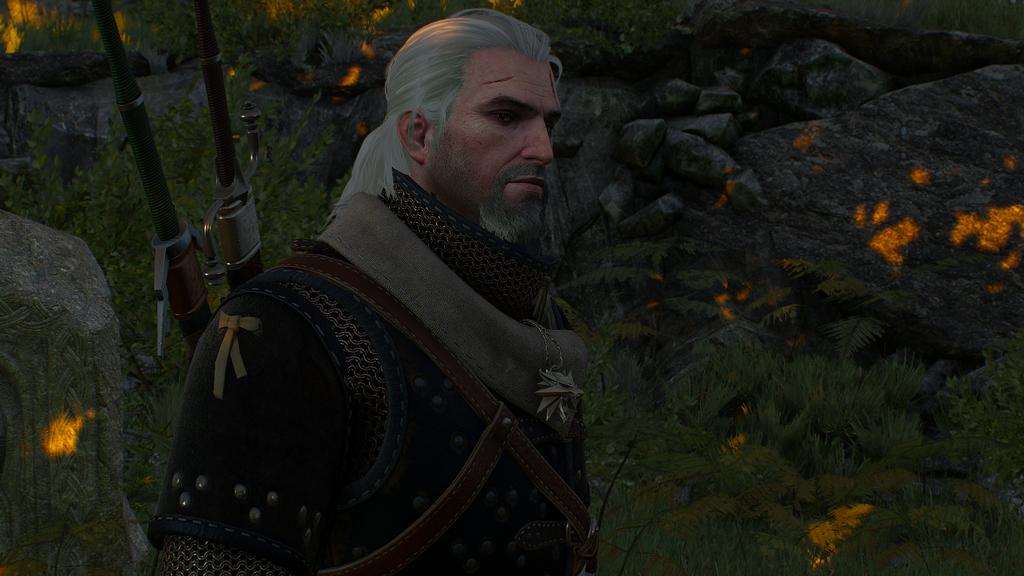 witcher3_2015_07_05_22_37_01_016_zpsq5no