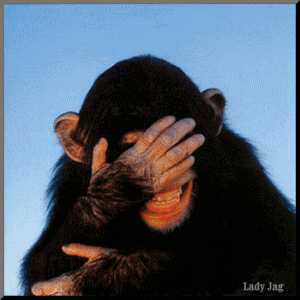 1326467528216-animated_laughing_chimp.gif?t=1353157883