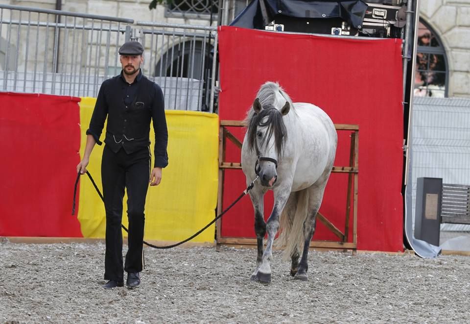 Arne Koets and his Andalusian jousting horse Maximillian (photo by Andreas Petitjean)