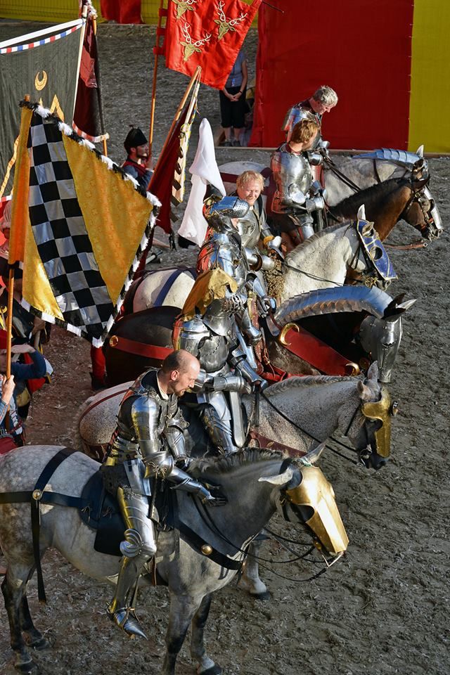 Six of the eight jousters who participated in Schaffhausen. From bottom left to top right: Arne Koets, Wouter Nicolai, Toby Capwell, Petter Ellingsen, Bertus Brokamp and Dominic Sewell (photo by Stefan Kiss)
