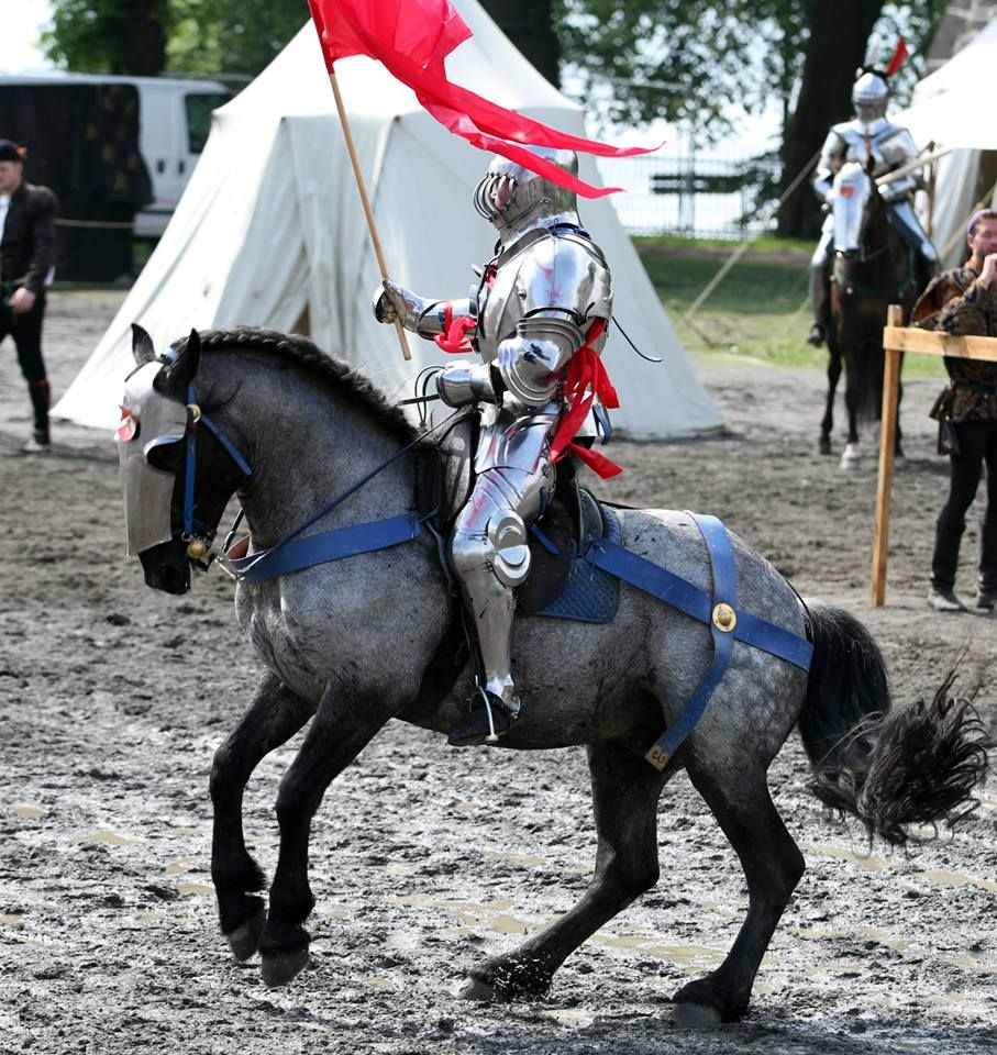Joram van Essen on his Murgese stallion Zogo(photo by Renate Skeie)