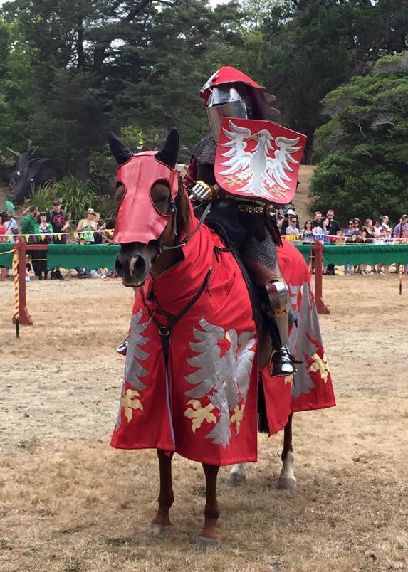 Sarah Hay wears her 14th century jousting armour and carries her personalized ecranche (jousting shield) while appendix gelding PJ wears a chamfron (face armour) in one of Sarah's heraldic colors and a caparison displaying Sarah's coat of arms during Harcourt Park 2015 (photo by Katherine McWade)