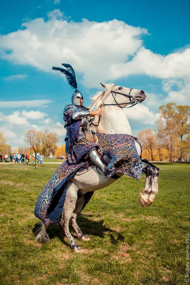 Tournament organizer Dmitry Savchenko on the Arab/Trakehner stallion Grey, at the Tournament of St George 2015 in Moscow, Russia(photo by Andrew Boykov/Ratobor Show)