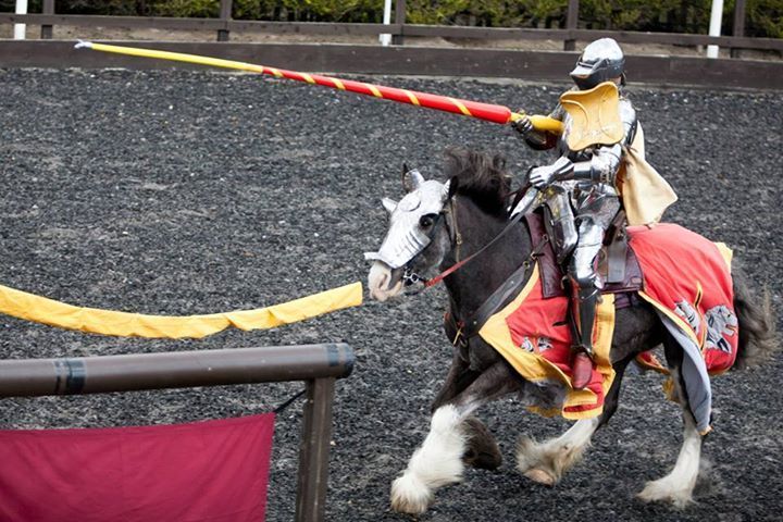 Andy Deane on the jousting horse Ted during the Queen's Jubilee Horn Tournament 2014 (photo from Royal Armouries Tournaments)