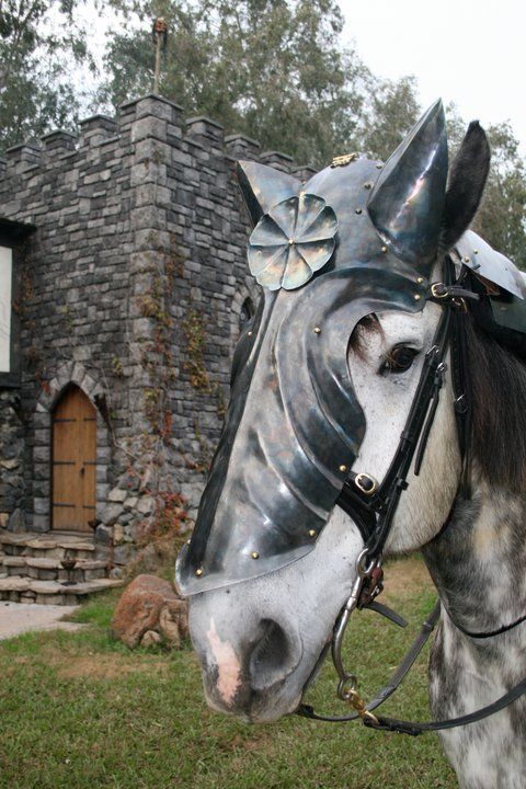 David Young's horse Boccaccio wearing his chamfron (photo by David Young)
