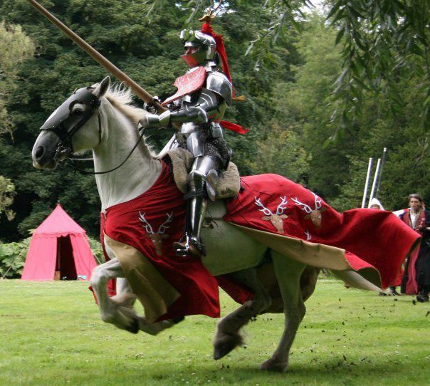 http://i1169.photobucket.com/albums/r520/TheJoustingLife/Jousting%20Tournament%20Pictures/ArundelCastle/DominicSewell2PhotoFB.jpg