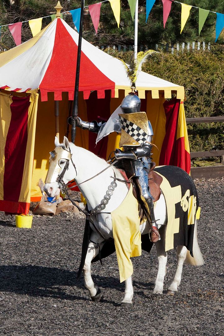 Jouster Wouter Nicolai on the jousting horse Albert during the Queen's Jubilee Horn Tournament 2013 (photo from Royal Armouries blog)