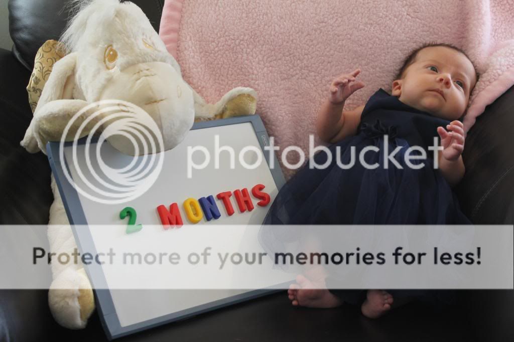 photo IMG_0804_zps16b50ab5.jpg