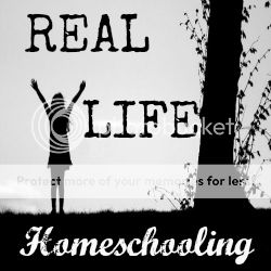 Real Life Homeschool {via www.walkinginhighcotton.net} 5 Days of Summer Reading