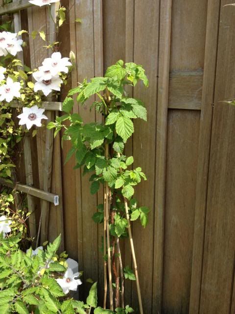 foto13.jpg