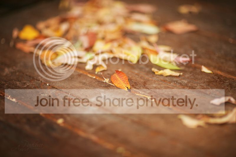photo MD6A0213_zps190b56eb.jpg