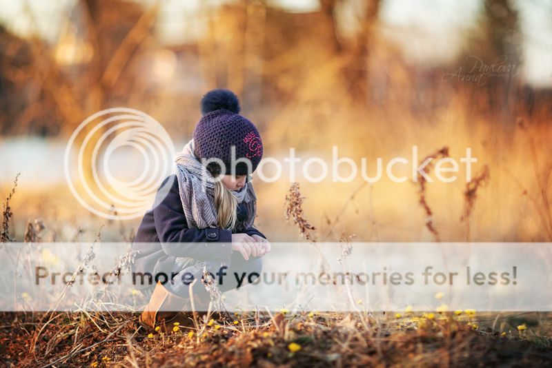 photo MD6A1144_zpsd39ba164.jpg