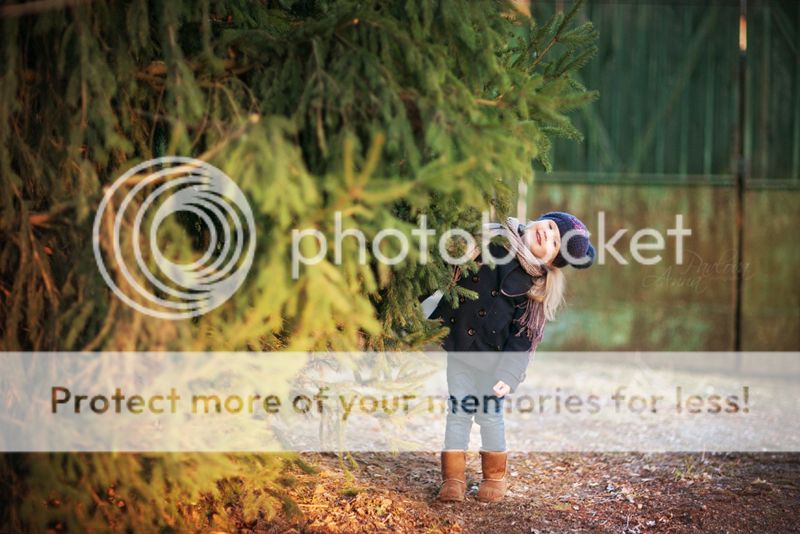 photo MD6A1166_zpsc00b59ac.jpg