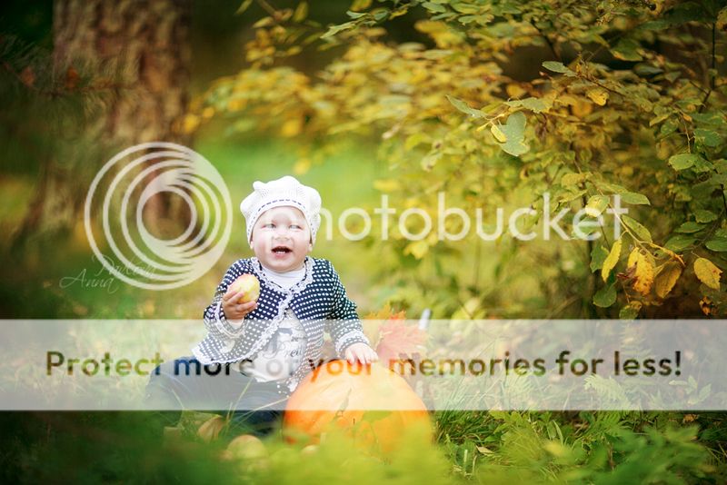 photo MD6A3102_zpsa138bb76.jpg