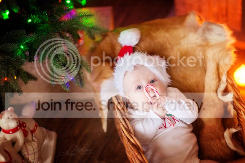 photo MD6A7195_zpseb50ec18.jpg