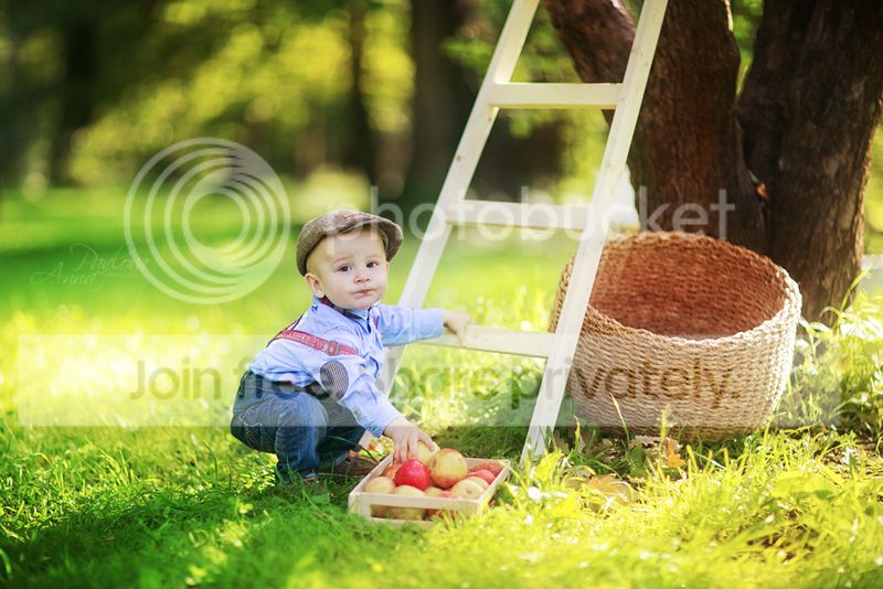 photo MD6A79452_zps0fbbb366.jpg